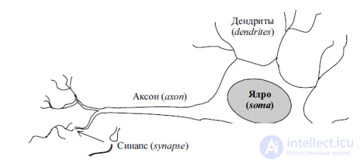   2. Artificial neural networks.  Architecture and classification of neural networks. 