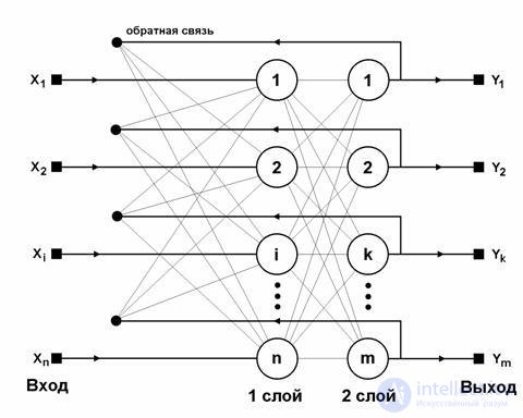 7. Networks, which are the development of the Hopfield model