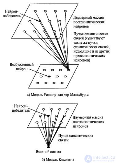   8. Self-organization networks 