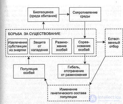 10. Evolutionary technologies