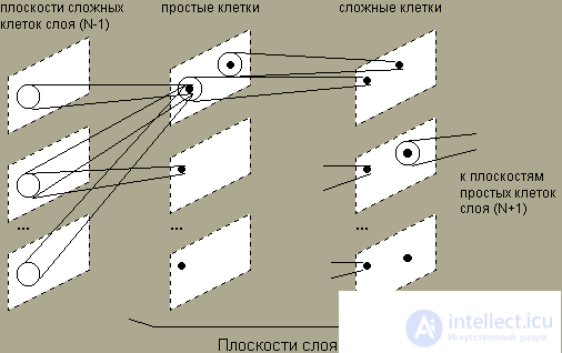   10. NEOKOGNITRON Fukushima. 