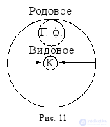 Types of Relations Between Concepts: Limitation and Generalization of a Concept
