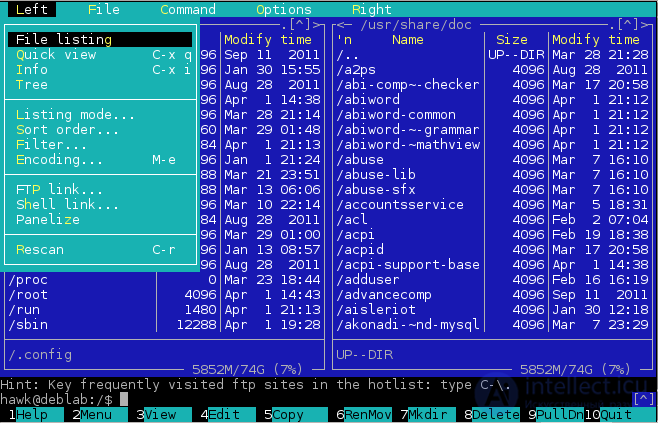 Support and daily use of LAMP Linux (Ubunutu), problem solving due to errors, system monitoring