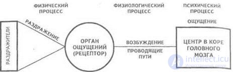 13. The process of obtaining visual information by a person and a computer vision system.  Features registration of visual information in the image processing system.