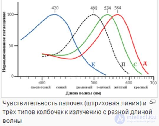 24 Fundamentals of the theory of color perception by man and a computer system.