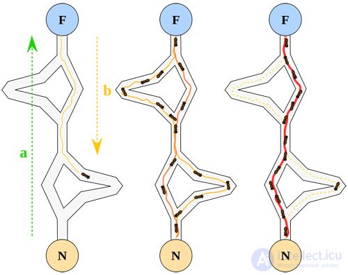 genetic algorithms