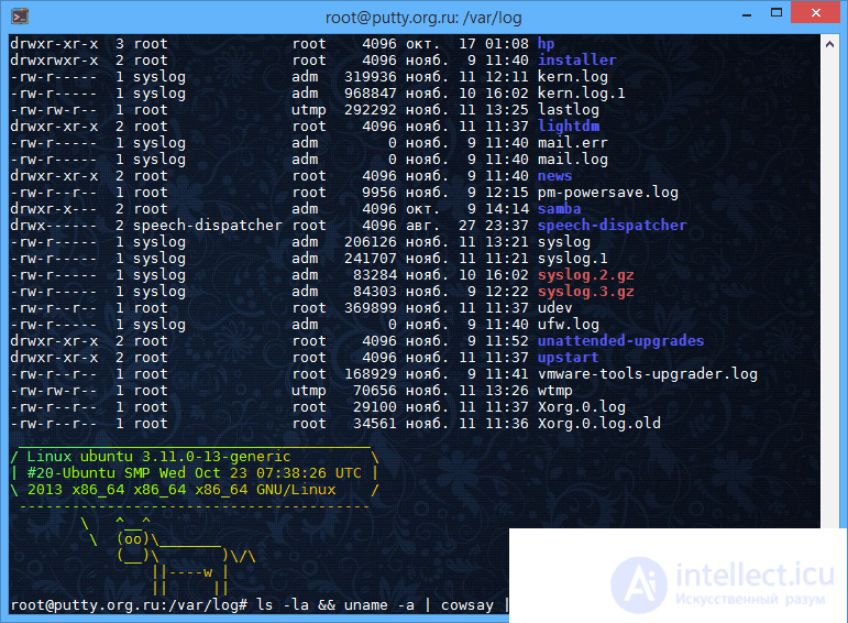   Shared hosting, VPS, VDS and dedicated server (dedicated), colocation, purpose and differences.  Access to hosting and dedicated FTP and SSH clients, IP KVM 