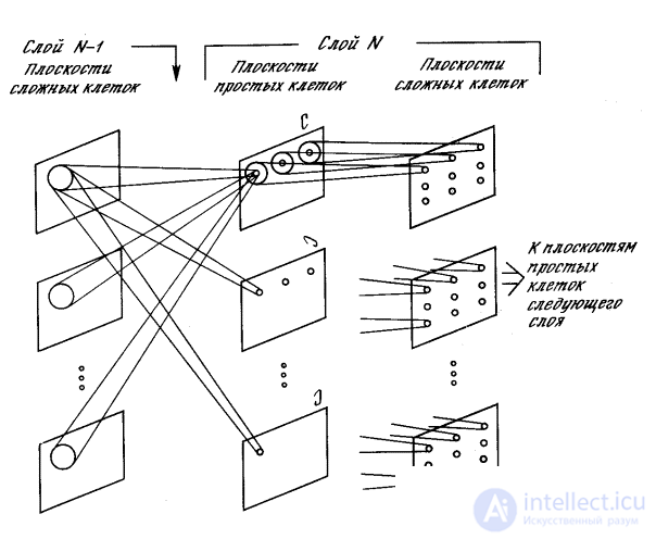   Neocognitron 