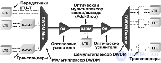Choosing backbone WDM transmission equipment