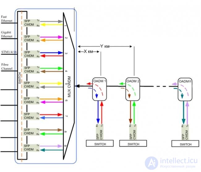 Choosing backbone WDM transmission equipment