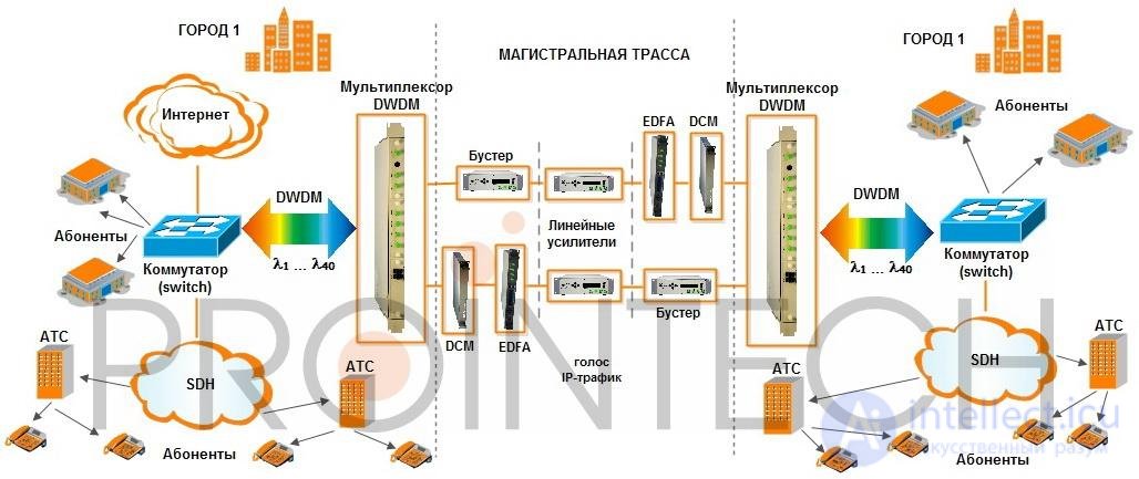Choosing backbone WDM transmission equipment