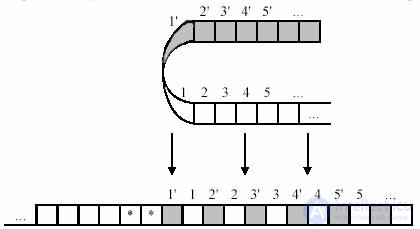   Turing Machine 