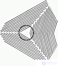   Visual distortions Visual illusions 