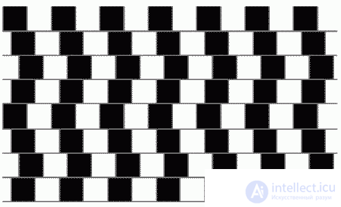   Visual distortions Visual illusions 