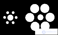   Illusions of perception of size Visual illusions 