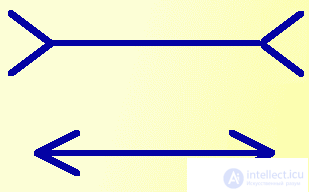   Illusions of perception of size Visual illusions 