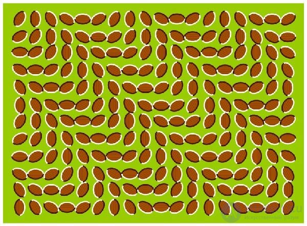   Illusions of Motion Visual Illusions 