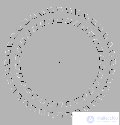   Illusions of Motion Visual Illusions 