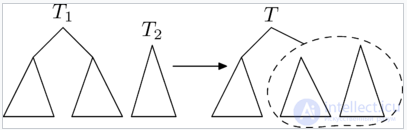 Search Trees: AVL Tree, Splay Tree, and Treap