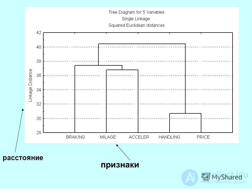 Кластерный анализ - как упорядочивающая операция   объектов в   однородные группы