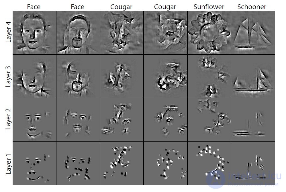   Deconvolutional Neural Network (DNN) 