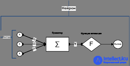   ANALYSIS OF THE ALGORITHM FOR REVERSE DISTRIBUTION OF NEURAL NETWORK ERROR 