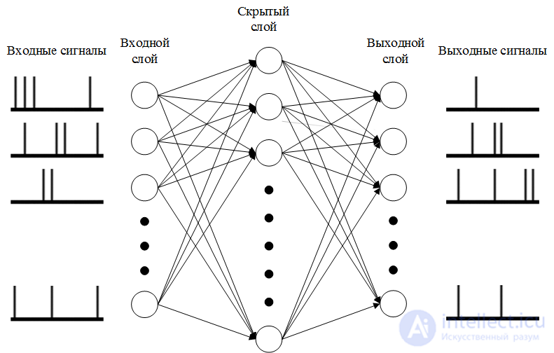   Impulse neural network 