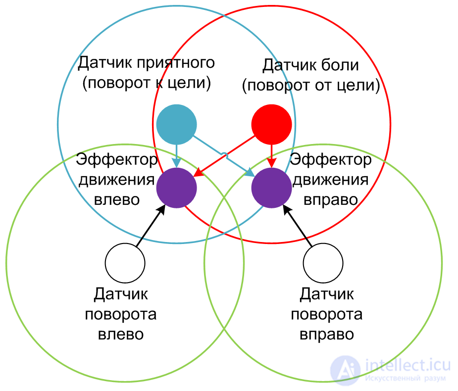   Emotions in neural networks 