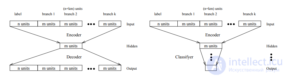 Backpropagation Through Time (BPTT) and Through Structure (BPTS)