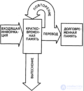 Psychology Tests with Answers and Diagrams - 300 Tests