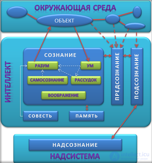 Psychology Tests with Answers and Diagrams - 300 Tests