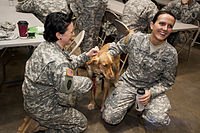 Post-Traumatic Stress Disorder (PTSD)