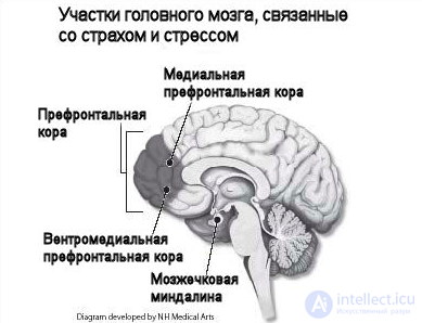 Post-Traumatic Stress Disorder (PTSD)