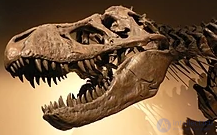 Examples of Common Misconceptions