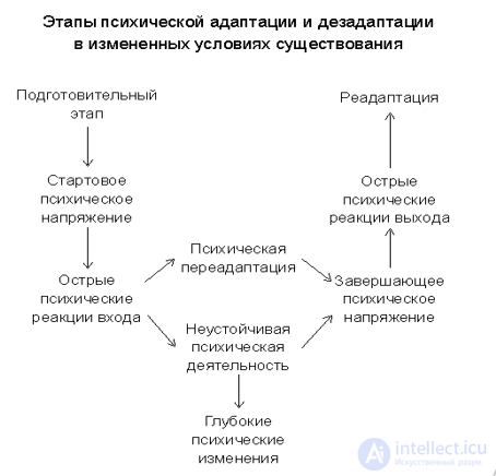 Affect, Stress, Anxiety, and Frustration as Emotional Processes and States