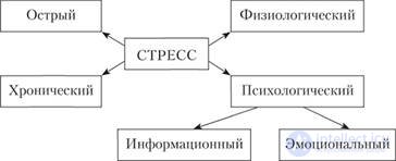 4. MANAGEMENT OF THE ORGANIZATION