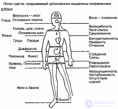   Body-oriented psychotherapy. 