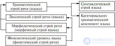   2. The main units of the language and their functions in speech activity 