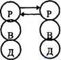 Status and role structure of interpersonal communication