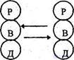 Status and role structure of interpersonal communication