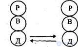 Status and role structure of interpersonal communication