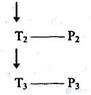   Psycholinguistic aspect of grammar 