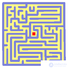 Finding the Way Out of a Maze