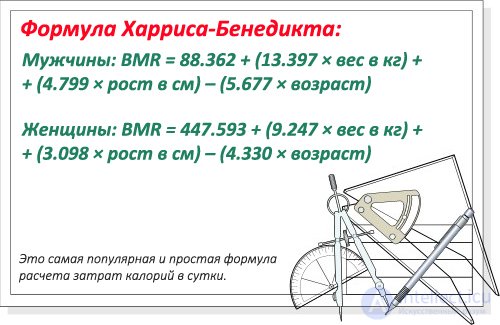   How to calculate your calorie consumption: basic and additional 