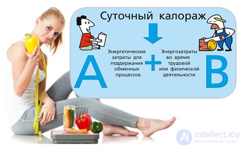   How to calculate your calorie consumption: basic and additional 