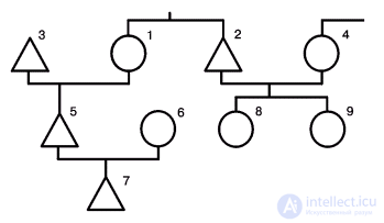   Genealogical (genealogical) trees as an object of sociological analysis 