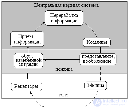   Ideomotor movements 