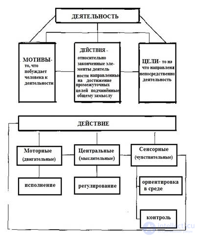 100 Tests with Answers and Diagrams - Fundamentals of General Psychology