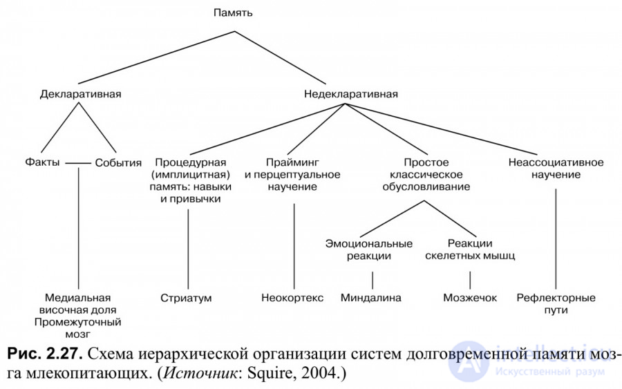 100 Tests with Answers and Diagrams - Fundamentals of General Psychology