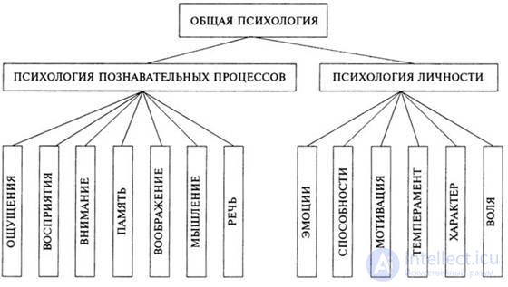 100 Tests with Answers and Diagrams - Fundamentals of General Psychology